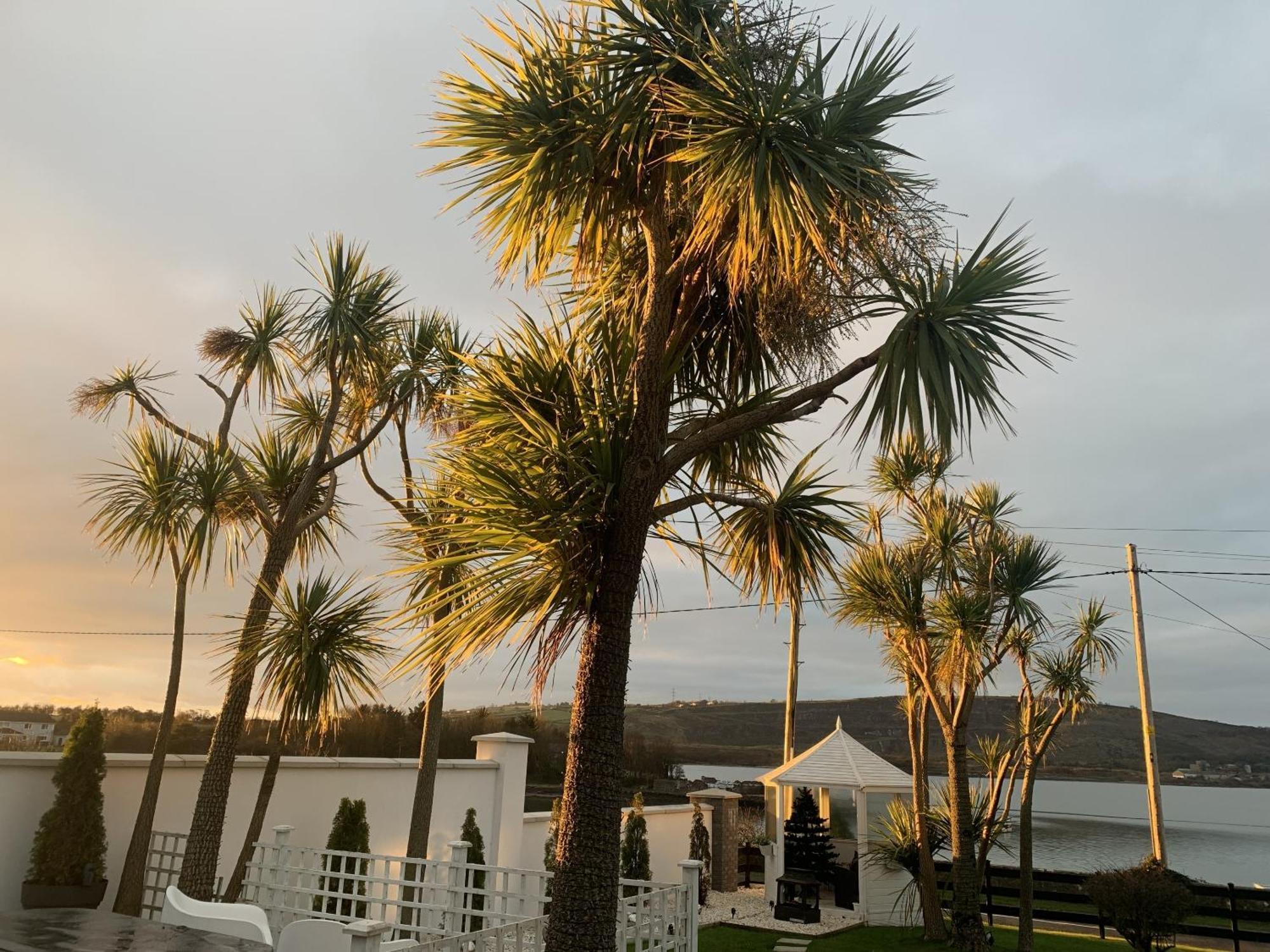Seaview On The Island *